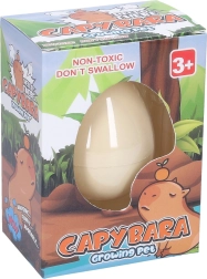 Kasvav muna kapibaraga, 6,5 cm – 1 tk