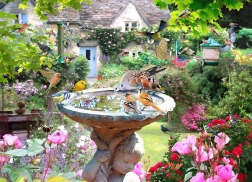 Summer Bird Puzzle 1000 Pieces