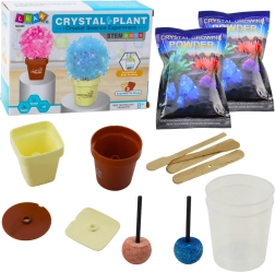 Educational Kit for Growing a Magic Crystal Tree