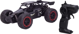 Metallist kaugjuhitav RC-ralliauto Moka, 24 cm