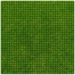 BRIXIES Plus disainitud ehitusplaat muru 25,5 x 25,5 cm
