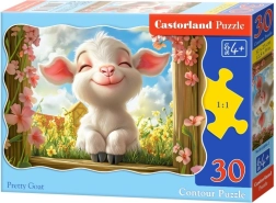 Castorlandi pusle Kaunis kits 30 tükki