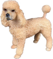 Puudli figuur