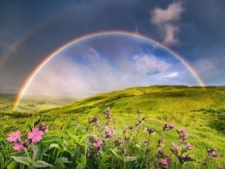 Puzzle 1500 Pieces Rainbow over the Meadow