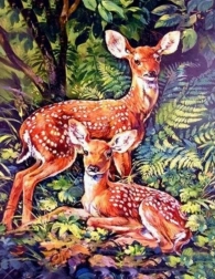 Teemantmaal – metskitsed metsas 30 × 40 cm