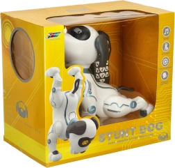 Interaktiivne robotkoer kaugjuhtimisega – hüppab, laulab ja reageerib käskudele