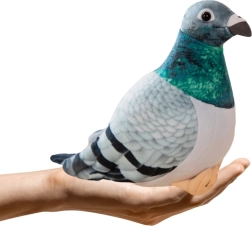 Peluusist õõnetuvi 20 cm