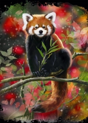 Puzzle Red Panda on a Branch 1000 Pieces