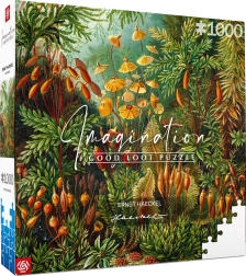 Puzzle Imagination: Ernst Haeckel – Muscinae 1000 tükki