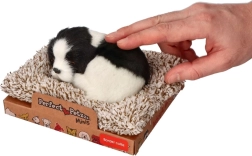 Magaval borderkollil pesal