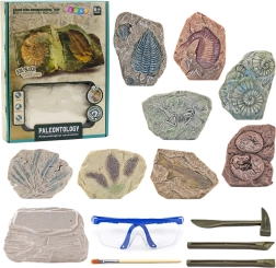 Paleontology excavation set plaster block with tools