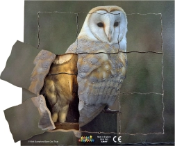Just Jigsaws Öökull ja tema elutsükkel – puidust kihiline pusle