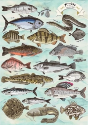 Puzzle TREFL Premium Plus Finders Keepers: Fish 500 pieces