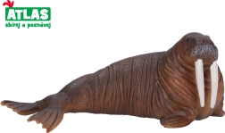 Morsafiguur