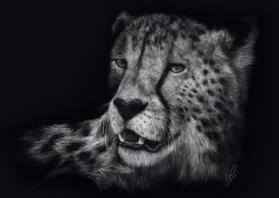 Cheetah Speed Puzzle 1000 Pieces SCHMIDT