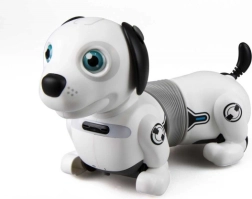 Interaktiivne robotkoer taksikoer valguste ja nutika palliga
