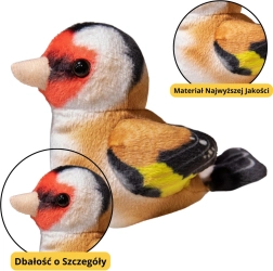 Väike plüüsist lind – sinitihane