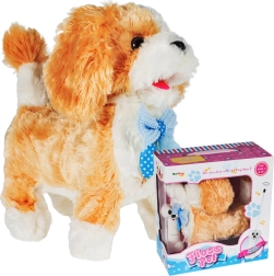 Puldist juhitav kutsu