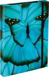 BAAGL A4 vihikumapp Butterfly