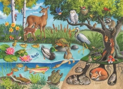 Animals Above and Below Puzzle – Secrets of Nature, 60 Pieces