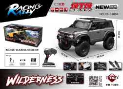 RC auto Wilderness 1:10 hall