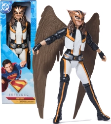 DC COMICS HAWKGIRL action-figuur 30 cm