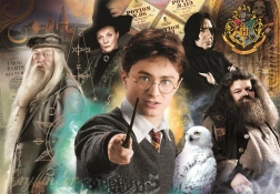 pusle 1000 tükki compact harry potter clementoni