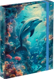 BAAGL Delfiin A5 vihikumapid