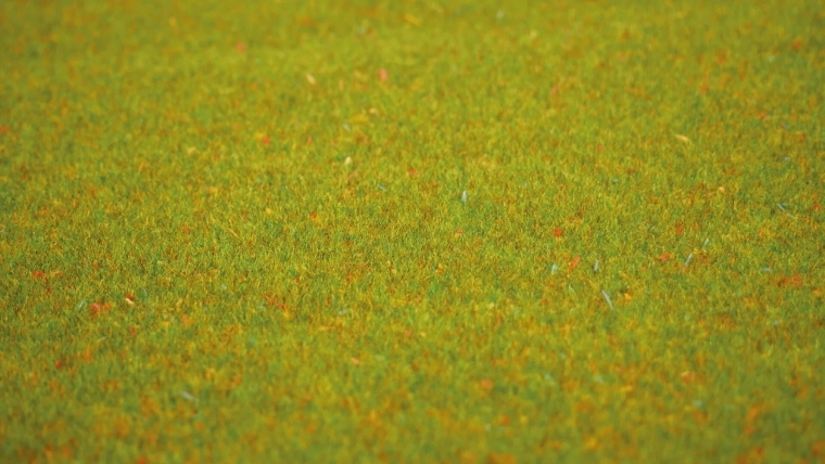 A realistic blooming meadow at first glance