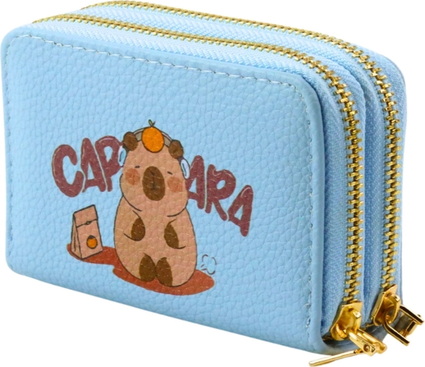 Kaks eraldi lukuga kambrit