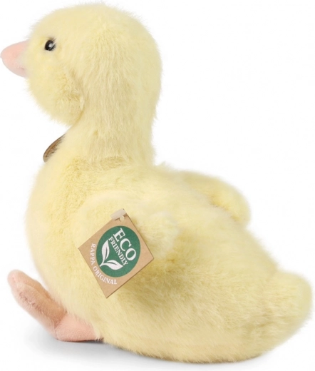 Turvaline kallistamiseks alates 0+