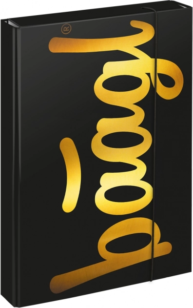 A4 koolivihikukaustad Jumbo Gold