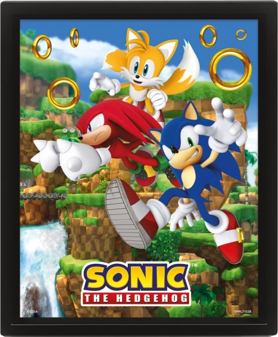 3D pilt SONIC – Catching Rings