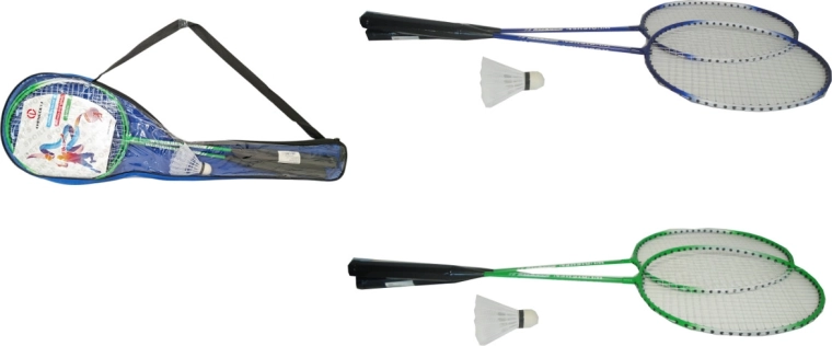 Badminton set in a case