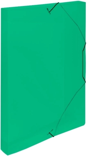 Box with Rubber Handle A4 Lines Green