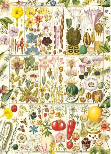 Puzzle Botanical Bliss 1000 Pieces