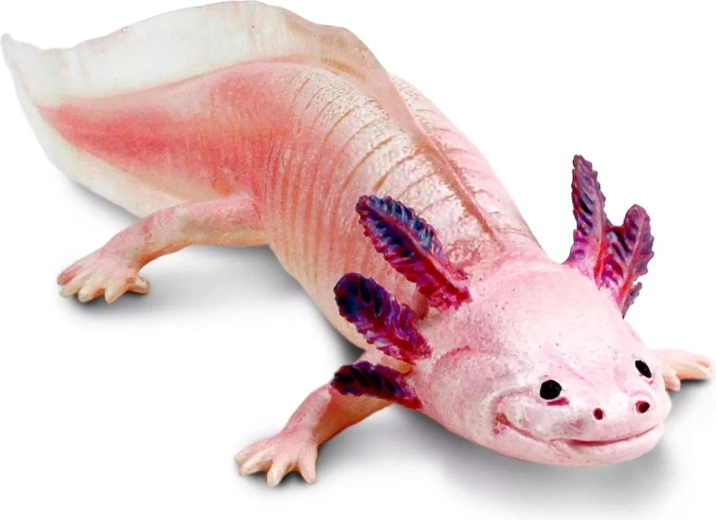 Safari Ltd. aksolotli figuur