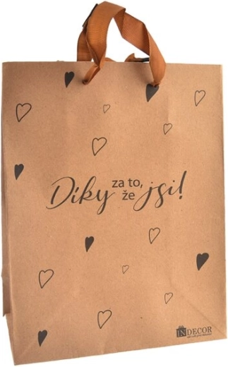 Gift bag "Thanks for being you" 17 × 10 × 23 cm