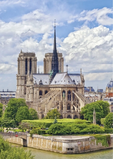 Pusle 1000 tükki Notre-Dame Dino'lt