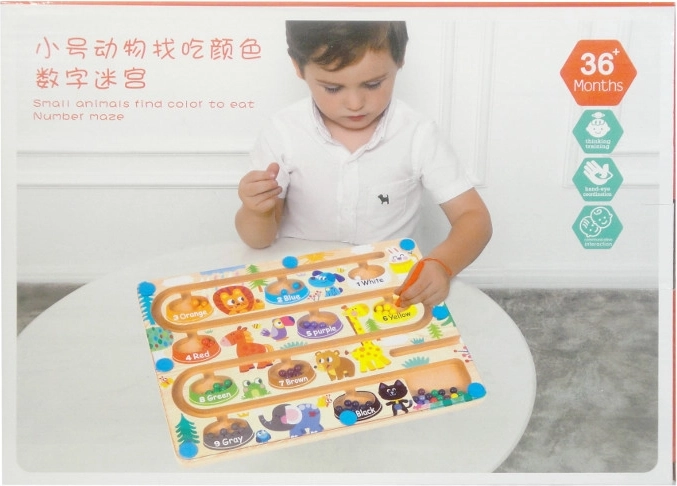 Wooden Magnetic Animal Color-Sorting Labyrinth