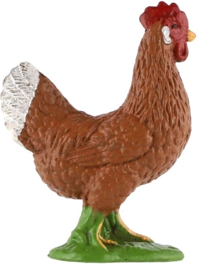 Detailed hen appearance