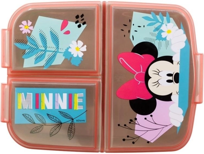 Clear compartments for different treats