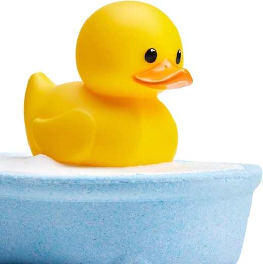 Duck ready to be displayed