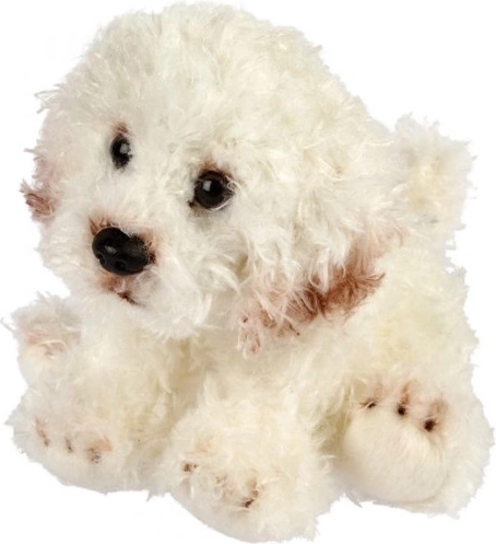Plüüskoer bichon 13 cm