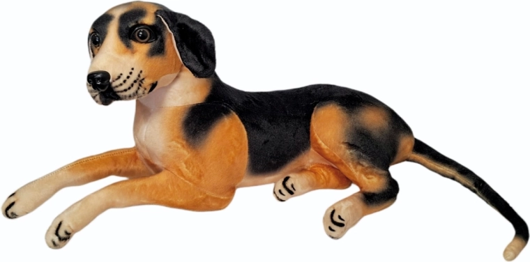 Pehme koer