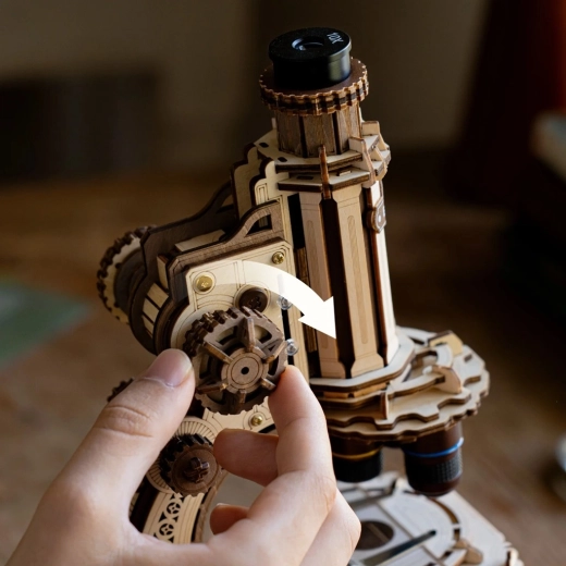 Precision mechanical focusing with a worm gear