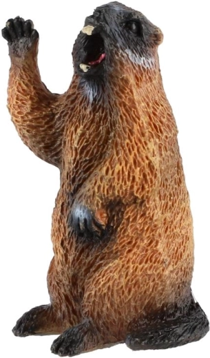 Realistlik vöödi kujutis
