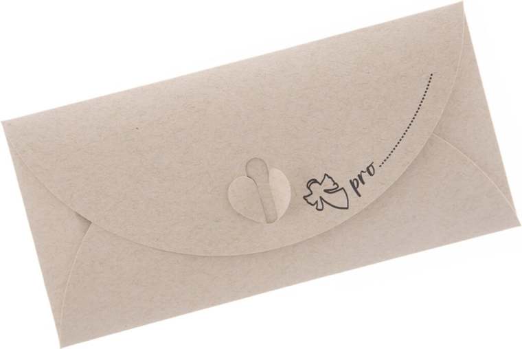 Paper envelope DL 22 × 11 cm