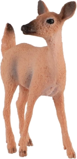 Kompaktne suurus