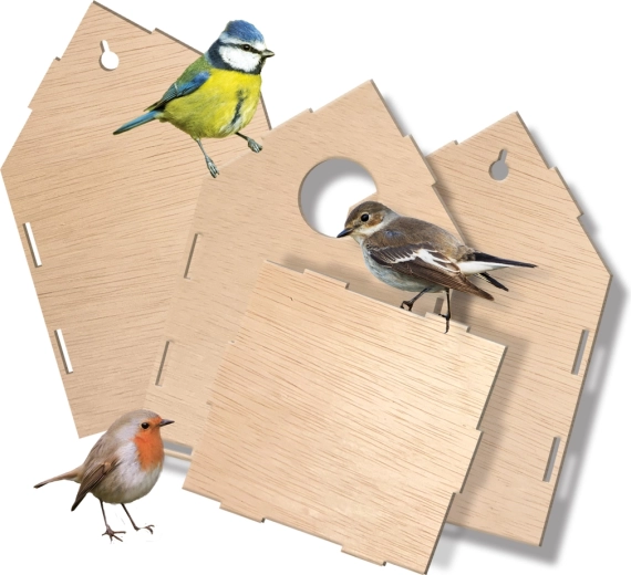 Easy natural-wood construction kit